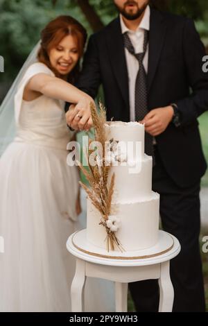 gli sposi novelli tagliano e assaggiano la torta nuziale Foto Stock