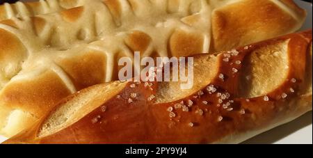 Deliziosi appetitosi panini di grano grasso appena sfornati cosparsi di sale e sugo di carne salata. Primo piano. Pane bianco contenente glutine, molte calorie e carboidrati. Colazione veloce tutti i giorni. Diabete Foto Stock