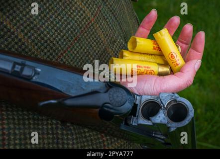 Primo piano di una mano di una donna che tiene un fucile aperto e una manciata di cartucce usate Foto Stock