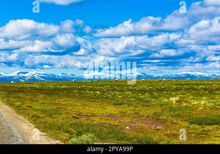 Splendido panorama naturalistico e montano del Rondane National Park Norway. Foto Stock