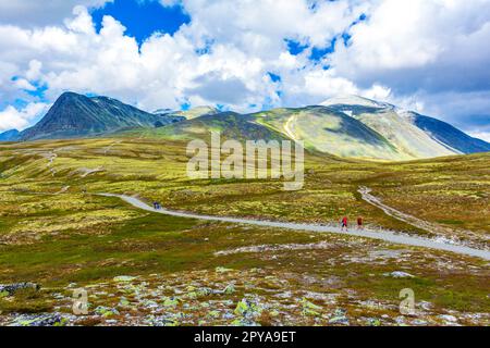 Splendido panorama naturalistico e montano del Rondane National Park Norway. Foto Stock