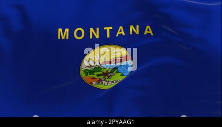 Primo piano della bandiera dello stato del Montana Foto Stock