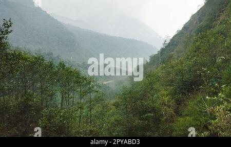 Verde foresta cime degli alberi contro montagna nebbiosa sullo sfondo Foto Stock