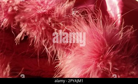 Primo piano con pelliccia sintetica rosa o piume di uccelli naturali di colore rosa. Piume leggere boa. Consistenza delicata. Biglietto d'auguri buon San Valentino. Colletto da una giacca da donna o da ragazza. Rosa brillante o di colore Foto Stock