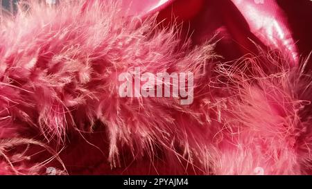 Primo piano con pelliccia sintetica rosa o piume di uccelli naturali di colore rosa. Piume leggere boa. Consistenza delicata. Biglietto d'auguri buon San Valentino. Colletto da una giacca da donna o da ragazza. Rosa brillante o di colore Foto Stock