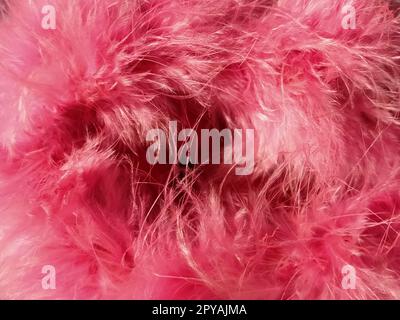 Primo piano con pelliccia sintetica rosa o piume di uccelli naturali di colore rosa. Piume leggere boa. Consistenza delicata. Biglietto d'auguri buon San Valentino. Colletto da una giacca da donna o da ragazza. Rosa brillante o di colore Foto Stock