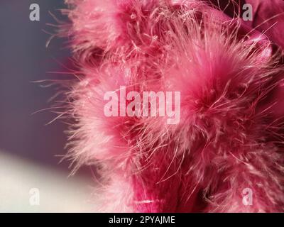 Primo piano con pelliccia sintetica rosa o piume di uccelli naturali di colore rosa. Piume leggere boa. Consistenza delicata. Biglietto d'auguri buon San Valentino. Colletto da una giacca da donna o da ragazza. Rosa brillante o di colore Foto Stock