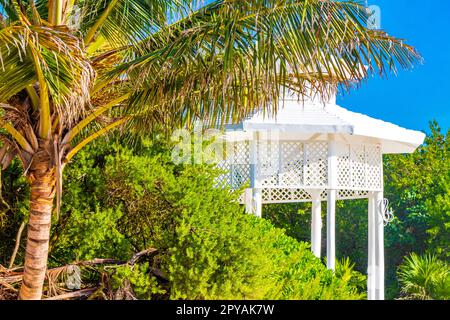 Padiglione bianco in pergula nobile in paradiso sulle palme da spiaggia del Messico. Foto Stock