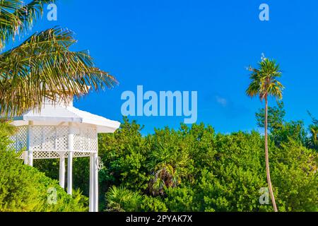 Padiglione bianco in pergula nobile in paradiso sulle palme da spiaggia del Messico. Foto Stock