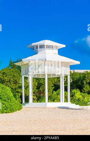 Padiglione bianco in pergula nobile in paradiso sulle palme da spiaggia del Messico. Foto Stock