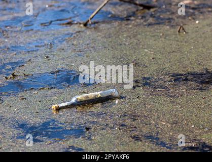 Una bottiglia di vetro in acqua fangosa nella foresta, scartata dall'uomo. Disastro ambientale in natura. Il problema della spazzatura in natura. Orizzontalmente. Foto Foto Stock