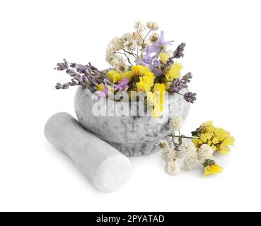 Malta di marmo con fiori diversi e pestello su fondo bianco Foto Stock