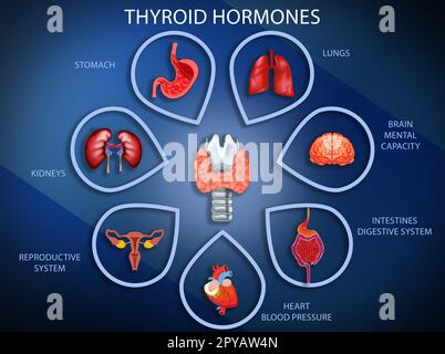 Illustrazione della ghiandola tiroidea e icone diverse che mostrano quali organi umani colpisce su sfondo blu. Poster medico Foto Stock