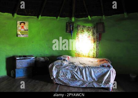 La campagna in cui Nelson Mandela è cresciuto a Mvezo, nel Capo Orientale, in Sud Africa. Foto Stock