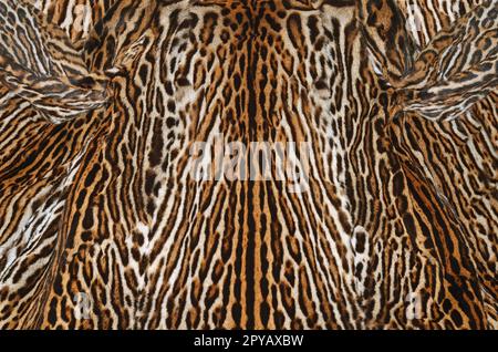 Leopard sfondo pelliccia Foto Stock