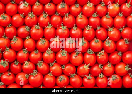 Immagine di sfondo di file di pomodori ciliegini rossi maturi. Vista dall'alto. Base piatta, spazio copia Foto Stock