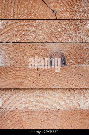 Trama di sfondo. Estremità di pannelli con bordi impilati. Vista dall'alto. Spazio copia, verticale Foto Stock