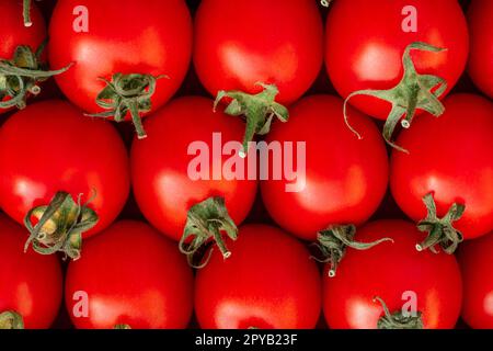 Immagine di sfondo di file di pomodori ciliegini rossi maturi. Vista dall'alto. Base piatta, spazio copia Foto Stock