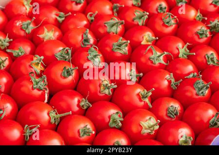 Immagine di sfondo di file di pomodori ciliegini rossi maturi. Vista dall'alto. Base piatta, spazio copia Foto Stock