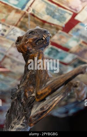 Il Nutshell il 12th ottobre 2022 a Bury St Edmunds, Suffolk, Inghilterra. Il Nutshell sostiene di essere il più piccolo pub in Inghilterra. Credit: Notizie SMP Foto Stock