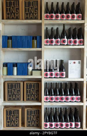 Azienda vinicola Tillingham il 6th ottobre 2022 a Rye, nell'East Sussex, Inghilterra. Credit: Notizie SMP Foto Stock