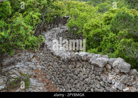 Muro di pietra tradizionale - Pedre en sec - Fita del RAM, Esporles, paesaggio naturale della Serra de Tramuntana, Maiorca, isole baleari, Spagna Foto Stock