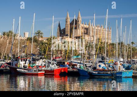 Catedral de Palma desde Moll de la Riba, Palma, mallorca, isole balneari, españa, europa Foto Stock