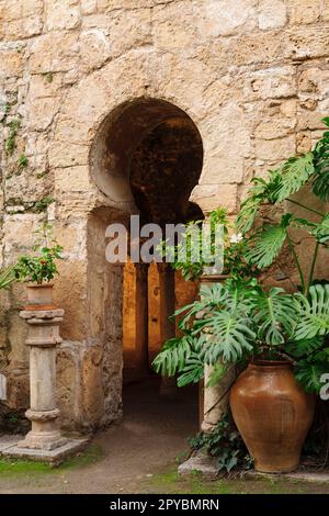 Baños Árabes, - Banys Àrabs - portale con arco de herradura , siglo X, Palma, Mallorca, isole balneari, españa, europa Foto Stock