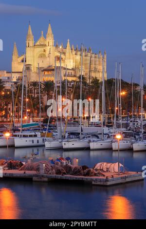 Cattedrale di Mallorca dal molo della Riba , 13th ° secolo, monumento storico-artistico, Palma, mallorca, isole baleari, spagna, europa Foto Stock