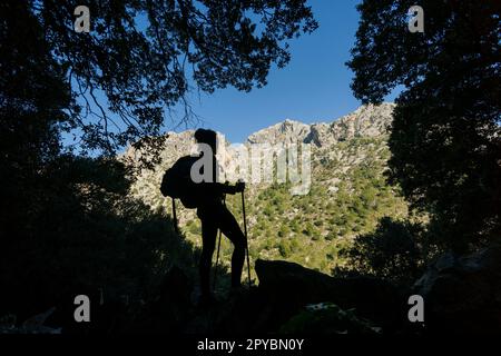 Antica fossa di Solleric, torrente di Almadrà, sierra de Tramuntana, maiorca, isole baleari, spagna, europa Foto Stock