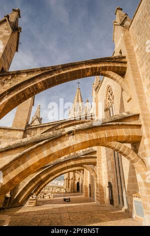 Contrafforti volanti, Cattedrale di Mallorca, 13th ° secolo, monumento storico-artistico, Palma, maiorca, isole baleari, spagna, europa Foto Stock