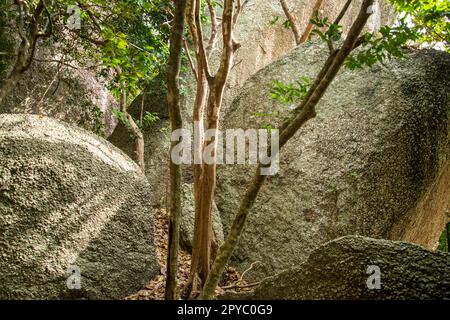 THAILANDIA PRACHUAP KHIRI KHAN STONE PARK Foto Stock