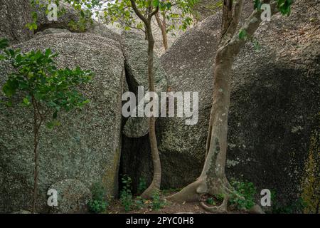 THAILANDIA PRACHUAP KHIRI KHAN STONE PARK Foto Stock