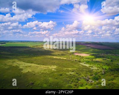 Splendida fotografia aerea di verde campo ondulato in giornate di sole. Vista dall'alto scatto con drone. Area agricola di Ucraina, Europa. Concetto di industria agraria. Foto Stock