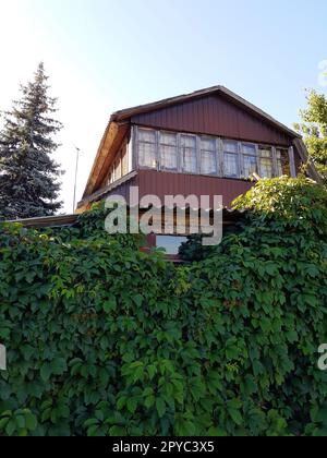 Casa di campagna e uva selvatica Foto Stock