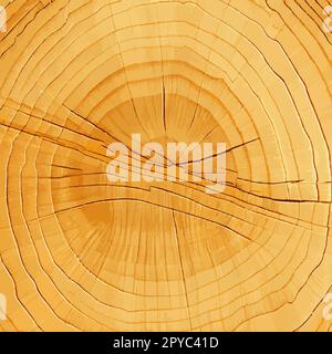 Texture realistica dell'albero verde più alto del mondo, prodotto negli Stati Uniti - Vector Foto Stock