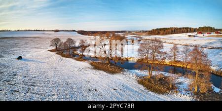 Fiume che scorre nei campi invernali innevati nella natura selvaggia al tramonto. Ruscello serpeggiando campagna gelida in serata fredda. Vista aerea degli alberi sulla riva del fiume. Foto Stock