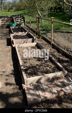 Letti di verdure rialzati di nuova costruzione costruiti di legno di scarto lasciato sopra dalla demolizione della casa Foto Stock