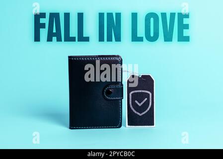 Scrittura che mostra il testo Fall in Love. Approccio aziendale affascinato o accattivante con qualcuno Foto Stock