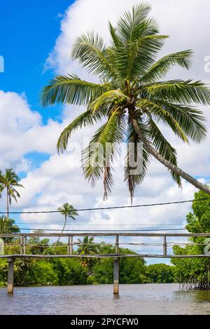 Gran scenic laguna costiera a Rekawa vicino alla piccola città Tangalle, Sri Lanka Foto Stock