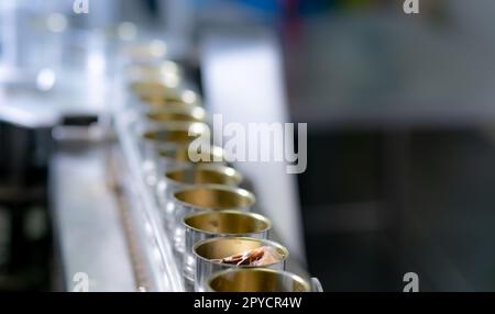 Fabbrica di pesce in scatola. Industria alimentare. Molte lattine di sardine su un nastro trasportatore. Sardine in salsa di pomodoro rosso in lattine in fabbrica alimentare. Linea di produzione alimentare. Industria alimentare. Foto Stock