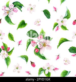 Modello senza cuciture con fiori di mela. Illustrazione acquerello isolata su sfondo bianco. Foto Stock