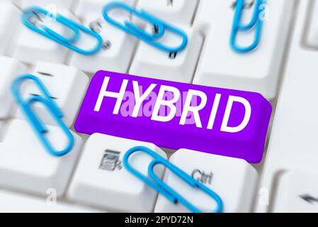 Segno di testo che mostra Hybrid. Il concetto di Internet è il prodotto di due piante o animali di specie o varietà diverse Foto Stock
