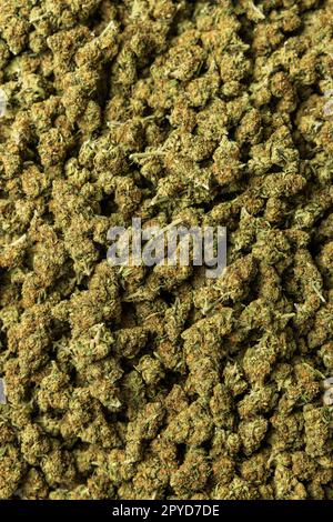 Boccioli di marijuana e infiorescenze pronte per la vendita, vista dall'alto Foto Stock