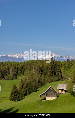 Tipiche cabine in legno a Gorjuse, parco nazionale di Triglavski, Slovenia Foto Stock