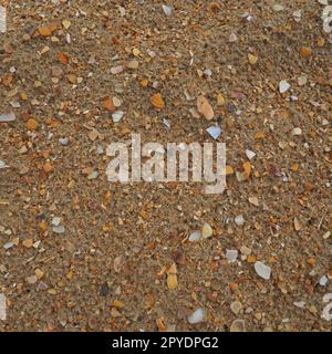 Sabbia con fondo conchiglie. Sabbia di quarzo grossolana bagnata. Conchiglie rotte. Spiaggia dopo una pioggia intensa. Silice. Sabbia di quarzo tritata, materiale marrone naturale dopo la tempesta. Ammaccature da gocce nella sabbia. Anapa Foto Stock