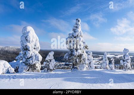 Paesaggio con neve in inverno a Ruka, Finlandia Foto Stock