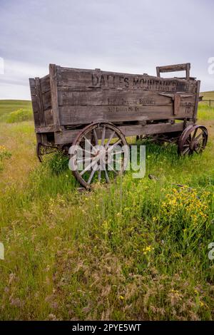 Un vecchio carro di legno presso lo storico Dalles Mountain Ranch vicino a Lyle, nella contea di Klickitat, Washington, USA. Foto Stock