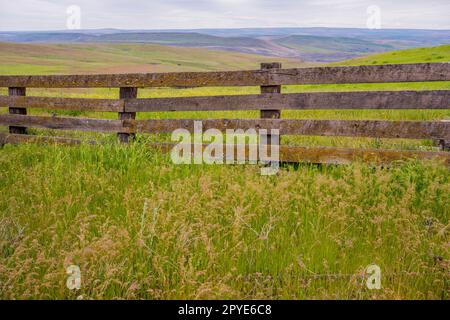 Una recinzione in legno con erbe in primavera allo storico Dalles Mountain Ranch vicino a Lyle, nella contea di Klickitat, Washington, USA. Foto Stock