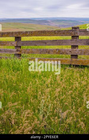 Una recinzione in legno con erbe in primavera allo storico Dalles Mountain Ranch vicino a Lyle, nella contea di Klickitat, Washington, USA. Foto Stock